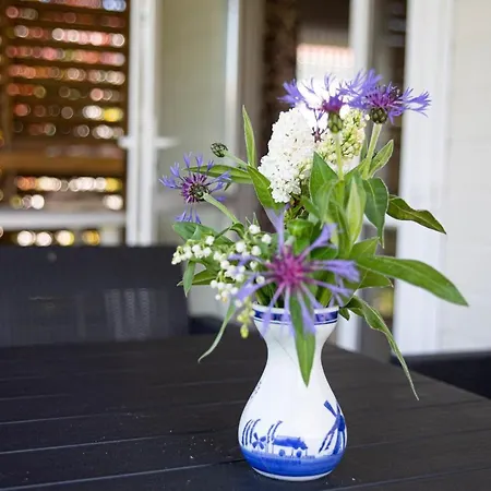 La Coquille Prl 37 Alpehytte *